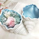 قالب سيلكون محارة حجم 11سم WFHM77