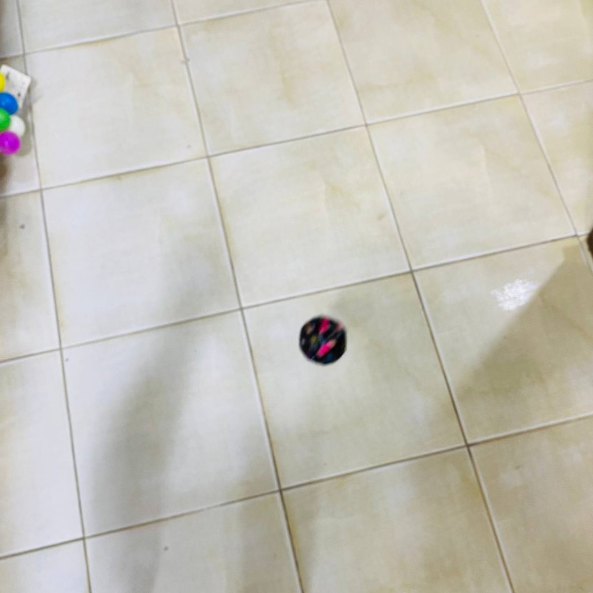 photo 8 2025 06 19 17 03 13