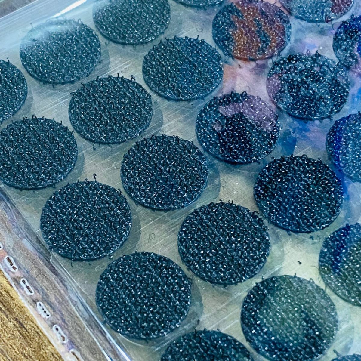 photo 1 2025 08 24 23 36 49