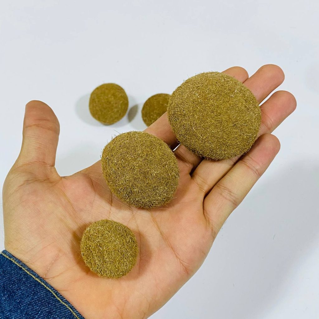 photo 3 2025 11 25 13 09 34 large