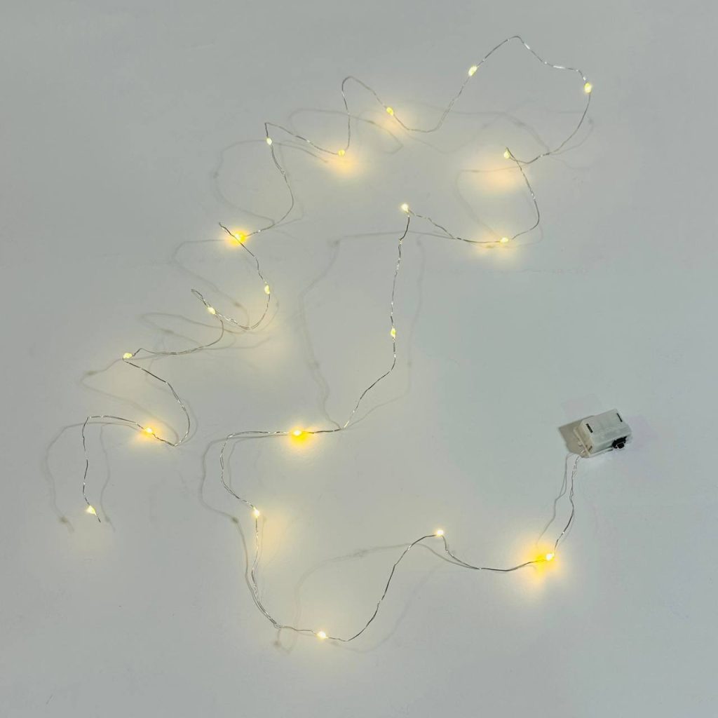 photo 6 2026 01 19 13 01 19 large