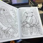 ⁦كراسة تلوين للكبار ماندالا 16 رسمة⁩ - الصورة ⁦2⁩